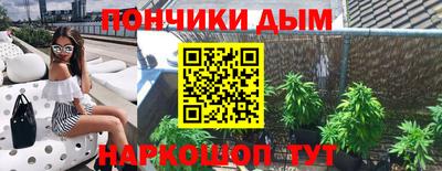прущие крисы Будённовск