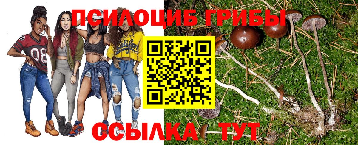Ногинск  Псилоцибиновые грибы Magic Shrooms  Вход с VPN 