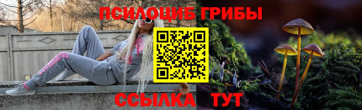 Псилоцибиновые грибы мухоморы Ногинск